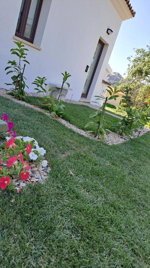 B&B La Chintina Sant'Antonio di Gallura Exterior photo