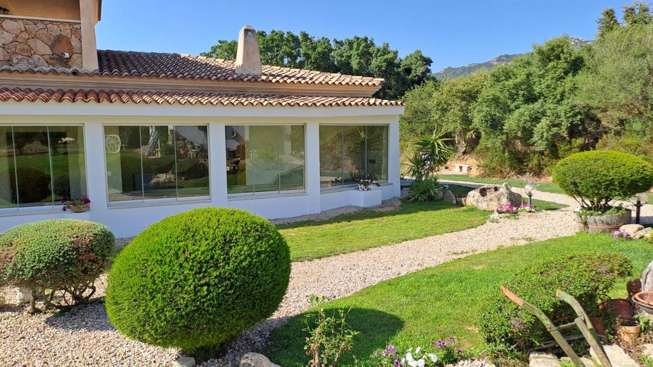 B&B La Chintina Sant'Antonio di Gallura Exterior photo